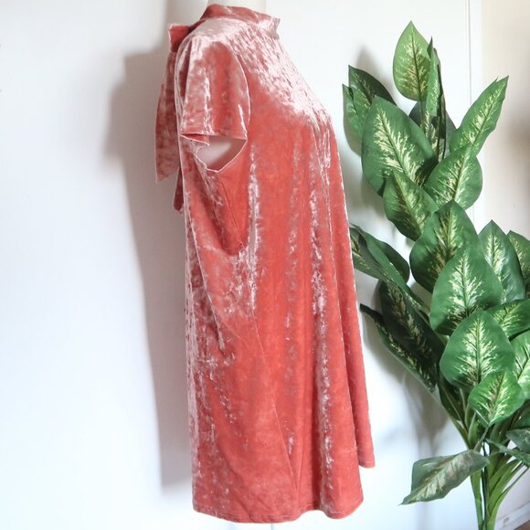 Madewell Blush Pink Crushed Velvet Dress Tie Back Short Sleeve Mock Neck Size L - Picture 9 of 13